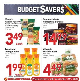 Buy-Low Foods - Budget Saver