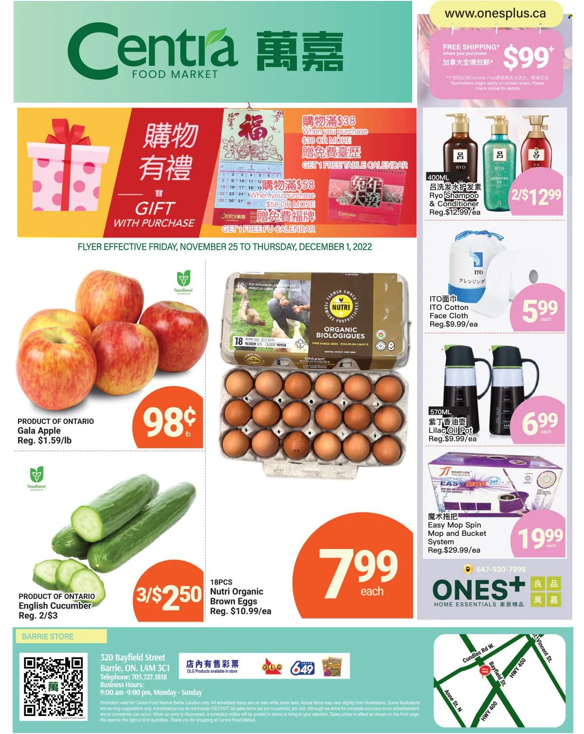 Centra Food Market Flyer - November 25, 2022 - December 01, 2022 - Sales products - Gala apple, eggs, oil, conditioner, spin mop, mop, pot, shampoo. Page 1.