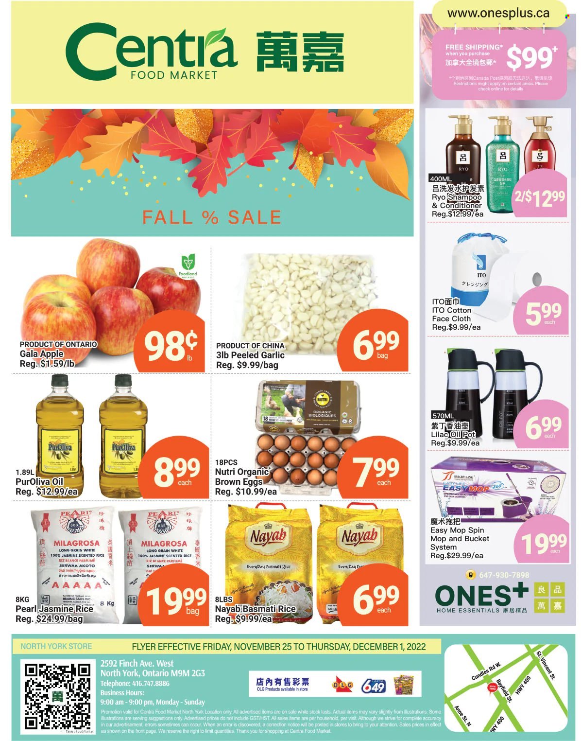 Centra Food Market Flyer - November 25, 2022 - December 01, 2022 - Sales products - garlic, Gala apple, eggs, basmati rice, rice, jasmine rice, oil, conditioner, bag, spin mop, mop, pot, shampoo. Page 1.