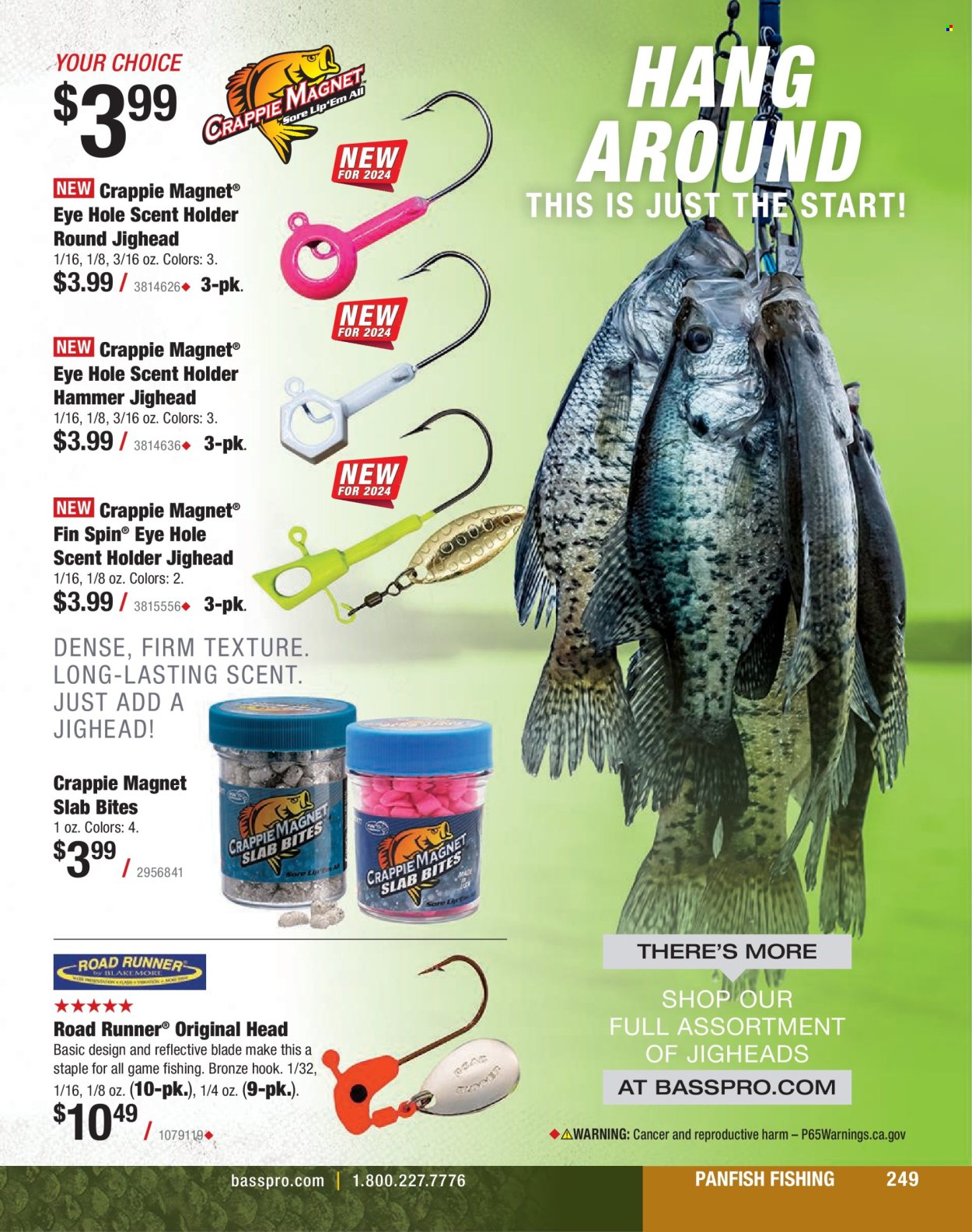 thumbnail - Bass Pro Shops Flyer - Sales products - holder. Page 249.
