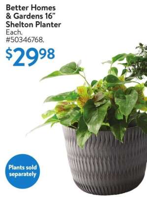thumbnail - Plant pot