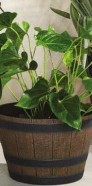 thumbnail - Plant pot