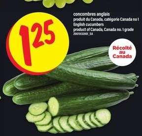 CONCOMBRES ANGLAIS
