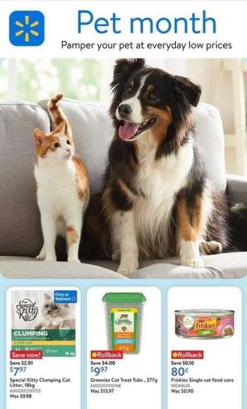 Walmart Flyer - May 01, 2025 - May 28, 2025.