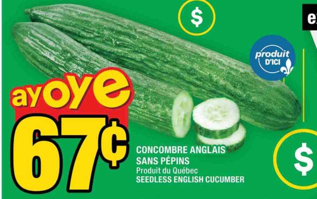 CONCOMBRE ANGLAIS SANS PÉPINS