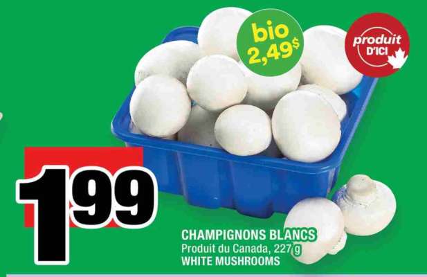 CHAMPIGNONS BLANCS