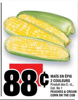 MAÏS EN ÉPIS