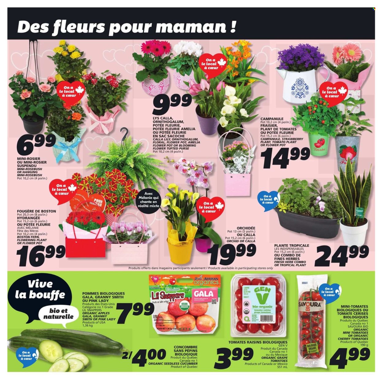 IGA flyer - May 08, 2025 - May 14, 2025. Page 1