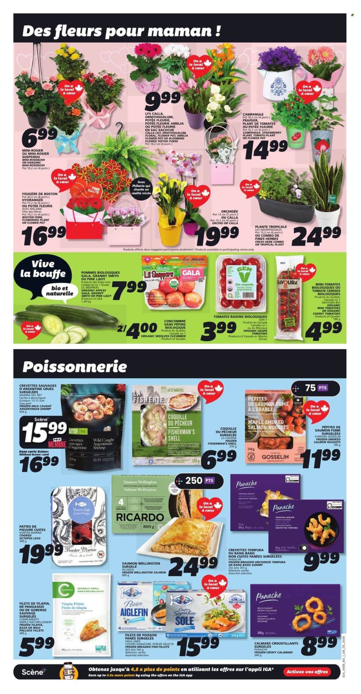 IGA flyer - May 08, 2025 - May 14, 2025. Page 1