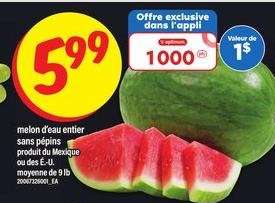 MELON D'EAU ENTIER SANS PÉPINS