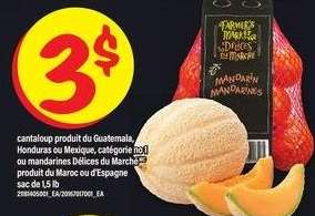 Cantaloup ou mandarines