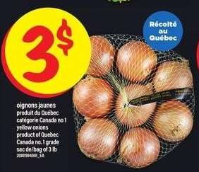 OIGNONS JAUNES