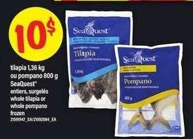 SeaQuest Tilapia or Pompano