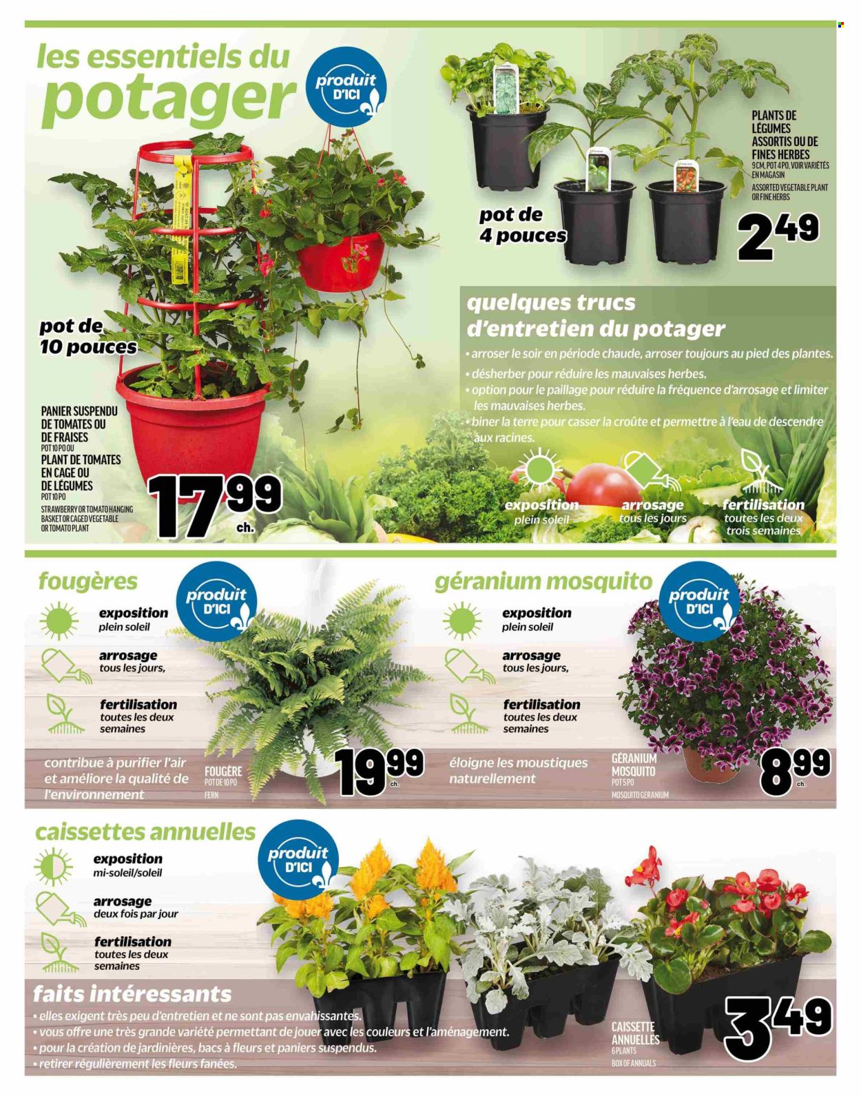 Metro flyer - May 08, 2025 - May 14, 2025. Page 1