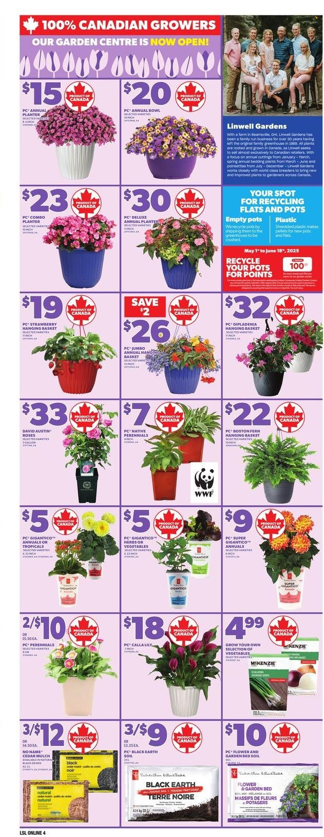 Loblaws flyer - May 08, 2025 - May 14, 2025. Page 1