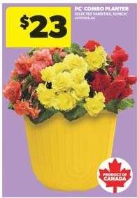 PC Combo Planter