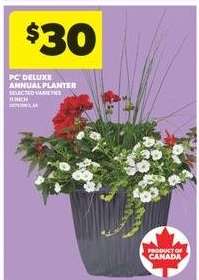 PC Deluxe Annual Planter