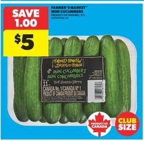 FARMER'S MARKET MINI CUCUMBERS