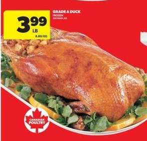 GRADE A DUCK