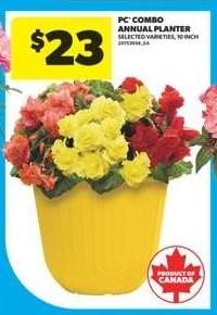 PC Combo Annual Planter