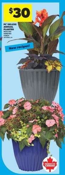 PC Deluxe Annual Planter