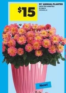 PC Annual Planter