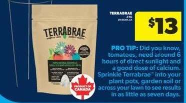 Terrabrae