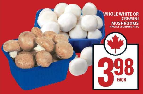 WHOLE WHITE OR CREMINI MUSHROOMS