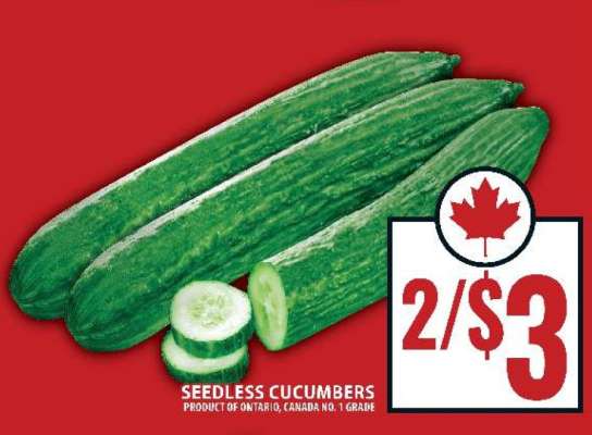 SEEDLESS CUCUMBERS