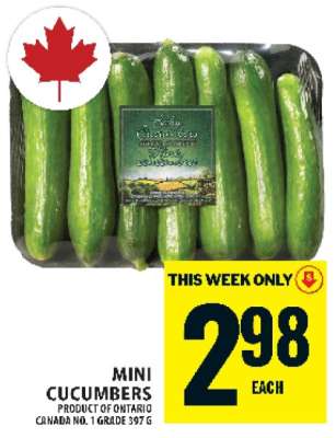 MINI CUCUMBERS