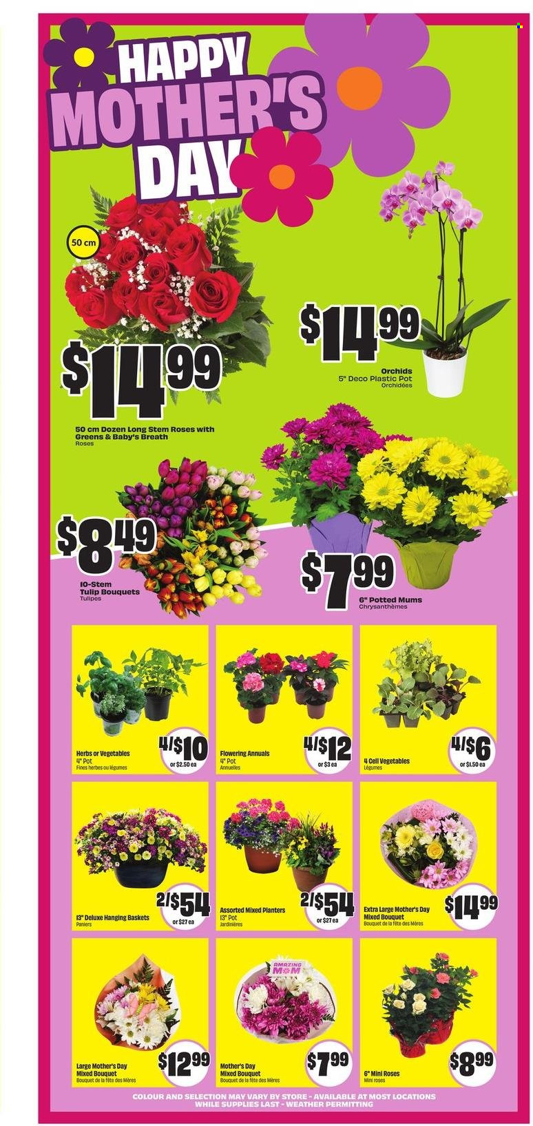 FreshCo. flyer - May 08, 2025 - May 14, 2025. Page 1