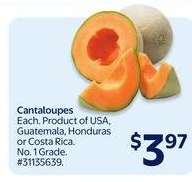 Cantaloupes