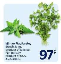 Mint or Flat Parsley