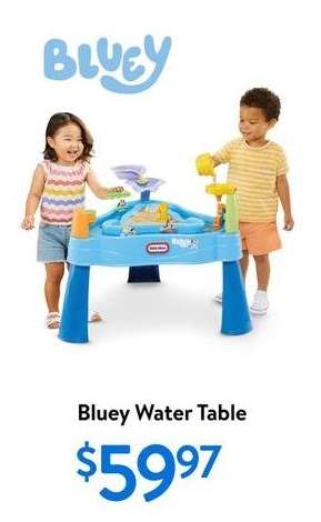 Bluey Water Table
