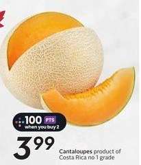 Cantaloupes