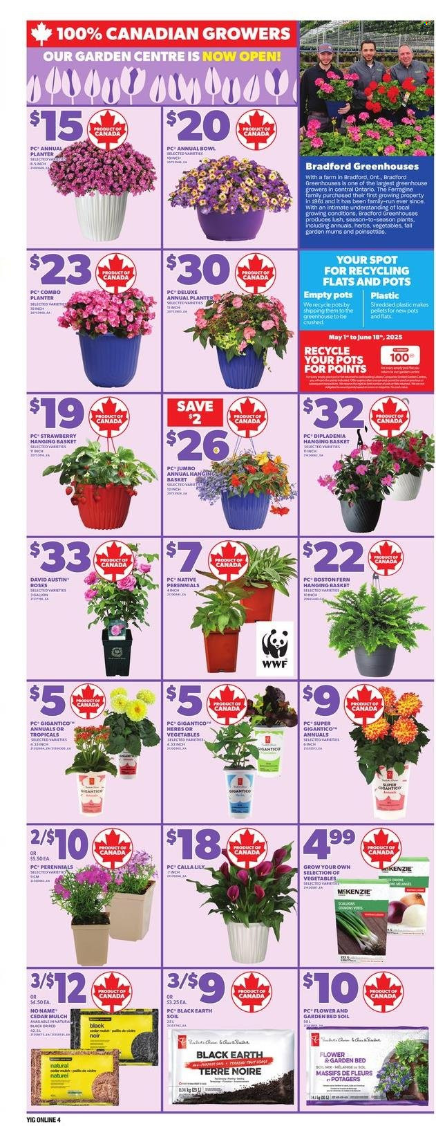Independent flyer - May 08, 2025 - May 14, 2025. Page 1