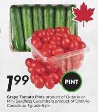 Grape Tomato Pints or Mini Seedless Cucumbers