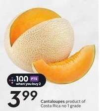 Cantaloupes