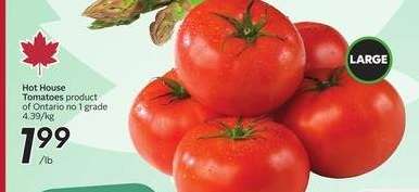 Hot House Tomatoes
