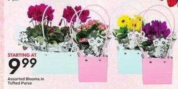 Assorted Blooms in Tufted Purse