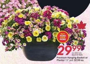 Premium Hanging Basket or Planter 13" pot