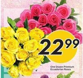 One Dozen Premium Ecuadorian Roses