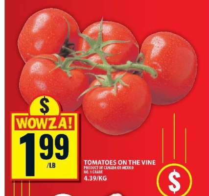 TOMATOES ON THE VINE