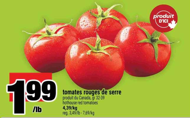 TOMATES ROUGES DE SERRE