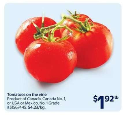 TOMATOES ON THE VINE
