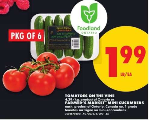 Tomatoes on the Vine or Farmer's Market Mini Cucumbers