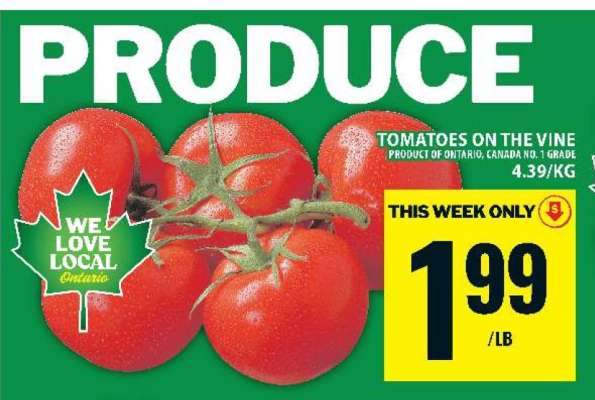 TOMATOES ON THE VINE