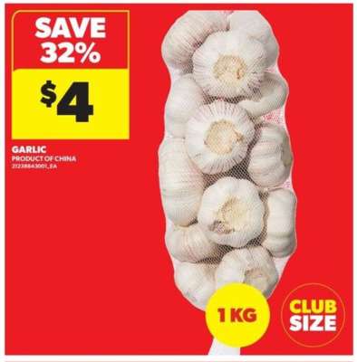 Garlic