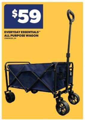 EVERYDAY ESSENTIALS™ ALL PURPOSE WAGON