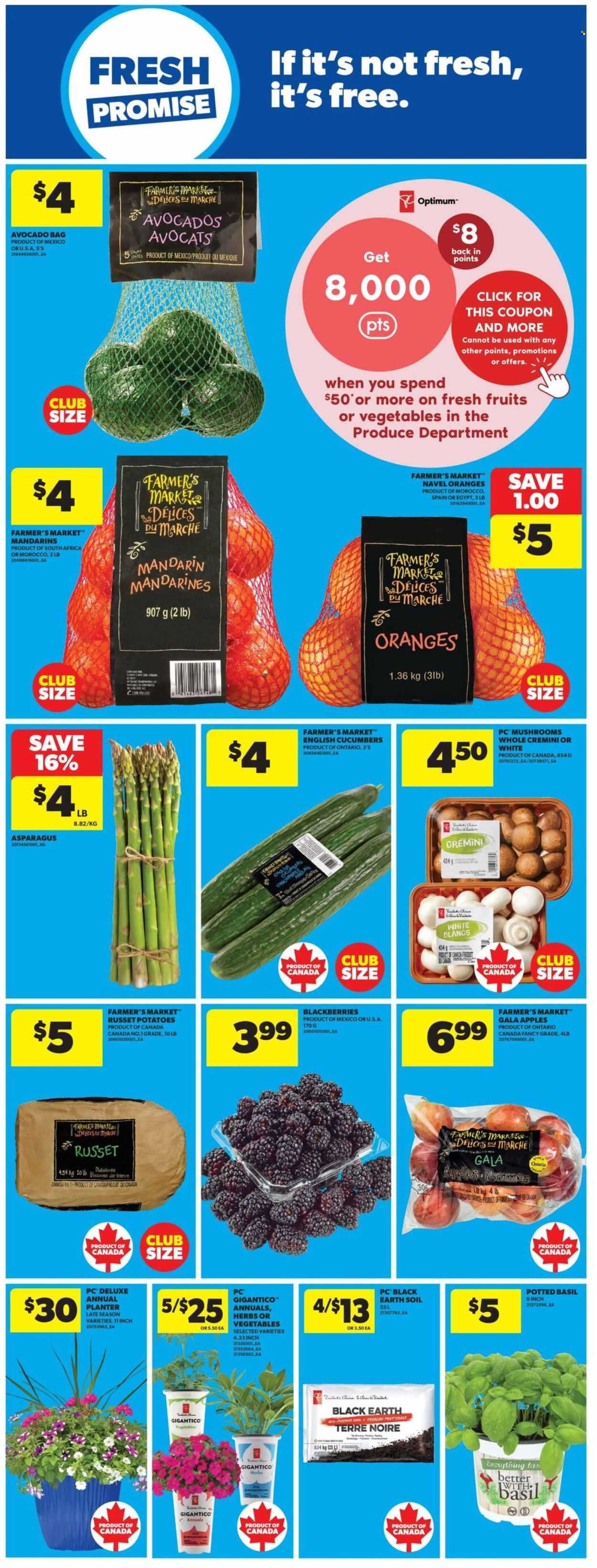 Real Canadian Superstore flyer - June 11, 2026 - June 17, 2026. Page 19